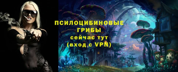 герыч Алзамай